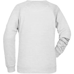 A grey ladies' sweater featuring long sleeves and a simple design. The back view is displayed with a logo.