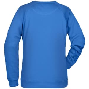A blue sweater with long sleeves and a crew neck. The back view reveals a plain design and a logo.