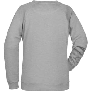 A grey jumper with long sleeves and a crew neck. Features a plain design with a logo on the back.