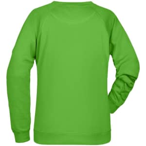 A green jumper with long sleeves and a rounded neckline, featuring a plain back and a logo.