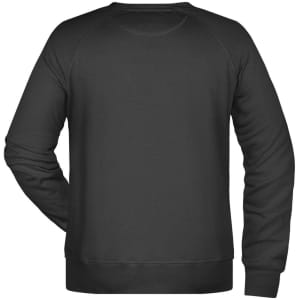 A black men's sweatshirt featuring a simple design and a back view. It has a logo on the back.