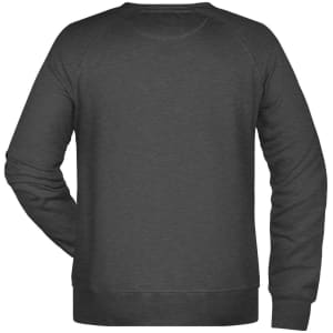 A grey jumper with a crew neck and long sleeves, featuring a logo on the back.