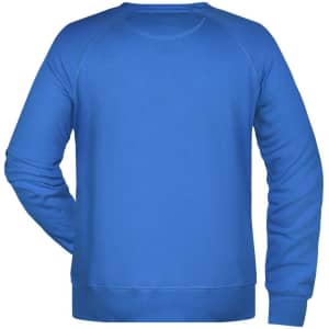 A blue sweater with a rugby-style back, featuring a logo on the back.
