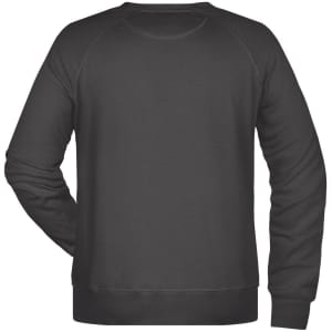 A black men's sweatshirt featuring a crew neck and long sleeves, with a plain back and a small logo.