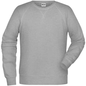 A grey men's sweatshirt with long sleeves and a round neckline, featuring simple stitching and a logo.