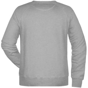 A grey sweater with a simple design and a logo on the back. Features raglan sleeves and a ribbed hem.