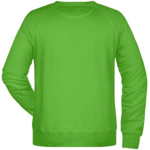A green men's sweatshirt with a crew neckline and long sleeves, featuring a logo on the back.