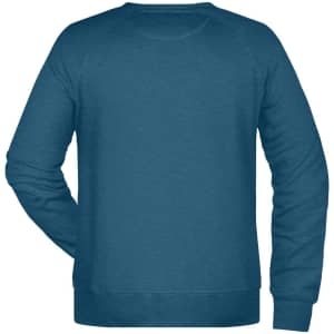 A men's blue sweatshirt with a crew neck and long sleeves, featuring a plain back and a logo.