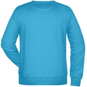 A blue men's jumper with a crew neck and long sleeves, featuring a plain back design and a branding logo.