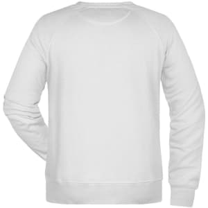 A white men's sweatshirt featuring a simple design and a back view. Includes a logo on the garment.
