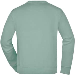 A mint green sweatshirt with a crew neckline and long sleeves, featuring a plain back design.