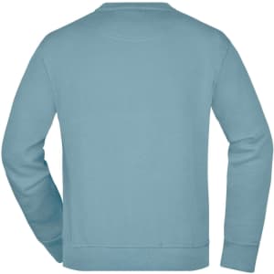 A Workwear Sweatshirt in a soft blue colour, featuring a simple design and a logo on the back.