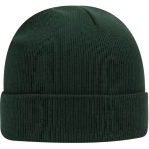 A green classic knit beanie with a ribbed texture and a folded cuff. The beanie features a logo.