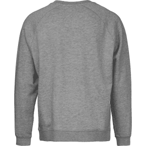 A grey sweatshirt with a crew neckline and long sleeves, featuring a simple design on the back.
