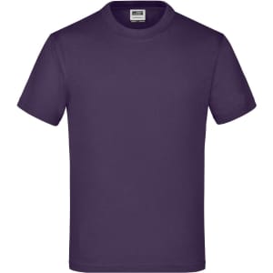A purple T-shirt with a round neckline and short sleeves, featuring a logo on the label inside.