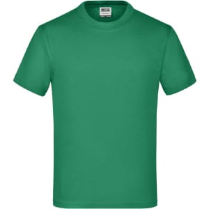 A green T-shirt in a classic short-sleeve style, featuring a logo on the label.