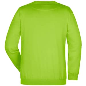 A green jumper with a round neckline and long sleeves, featuring a logo on the back.