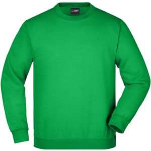 A green sweatshirt with a crew neck and long sleeves. It features a logo on the front.