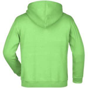 A green hooded sweatshirt featuring a back view. The garment has a hood and a branded label.