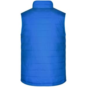 A blue padded vest with a high collar, featuring a quilted texture on the back. It includes a logo.
