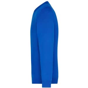 A bright blue men's V-neck pullover, showing a side view with long sleeves. It features a logo on the garment.