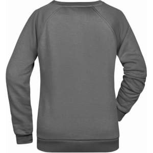 A grey ladies' sweatshirt with a simple, unembellished design and a soft texture. It features a logo.