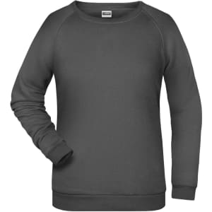 A grey ladies' sweatshirt featuring a crew neck and long sleeves, with a simple design and a logo present.