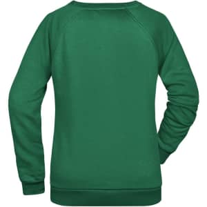 A green jumper with a raglan cut and long sleeves, featuring a back view. Includes branding.