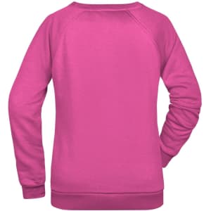 A pink jumper with long sleeves and a round neckline, featuring a logo on the back.