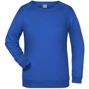 A blue sweatshirt with a relaxed fit and ribbed cuffs, featuring a logo on the chest.