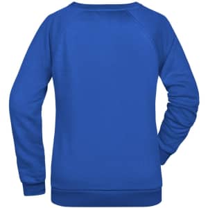 A blue jumper with a clean back design, featuring long sleeves and a comfortable fit. It has a branding logo.