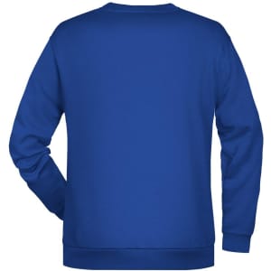A blue jumper featuring a plain design and a back view. It includes a logo.