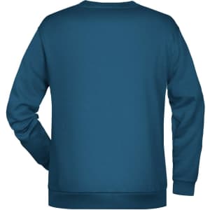 A blue men's sweatshirt featuring a crew neck and long sleeves, with a branding logo on the back.