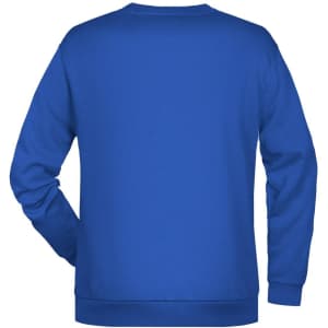 A blue men's jumper featuring a round neck and long sleeves, with a logo on the back.