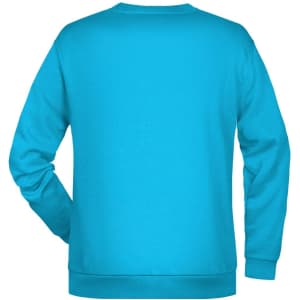 A blue men's jumper featuring a crew neck and long sleeves, with a plain back and a logo.