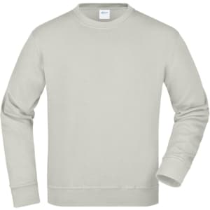 A light grey sweatshirt with long sleeves and a crew neckline. Features a logo on the label.