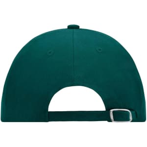 A green 6 panel cap with a flat brim and adjustable strap at the back. It features a branding logo.