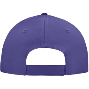 A purple 5 panel cap with a curved brim and adjustable strap at the back, featuring a small logo.
