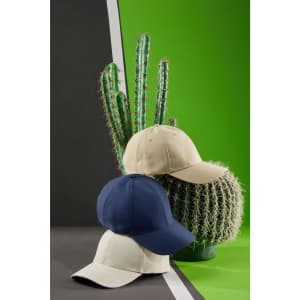 A collection of three 6-panel caps in beige and navy displayed near cacti on a green and grey background.