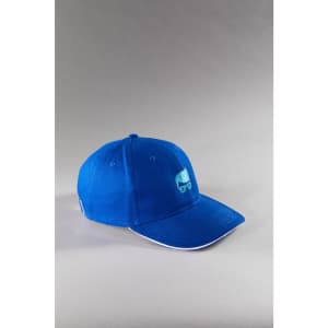 A blue cap with a curved brim and a logo on the front, featuring a light brushed finish.