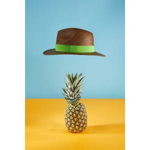 A brown Traveller Hat with a green band floats above a pineapple against a blue and yellow background.