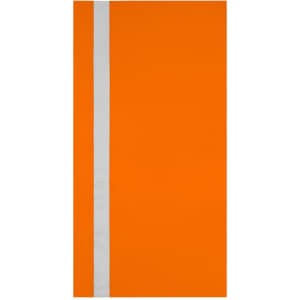 An orange sunshade with a reflective white stripe down the middle. It has a branding logo.