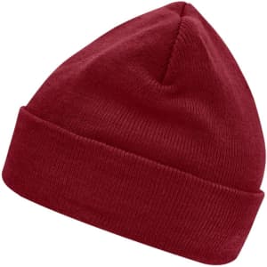 A deep red knitted beanie featuring Thinsulate™ insulation and a folded cuff. It has a logo on the side.