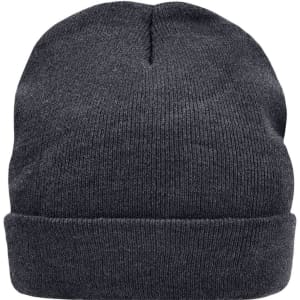 A grey knitted beanie featuring a Thinsulate™ lining and a folded cuff, with a logo on the side.
