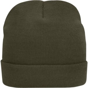 A knitted beanie in olive green with a folded cuff and a smooth texture. It features a logo on the side.