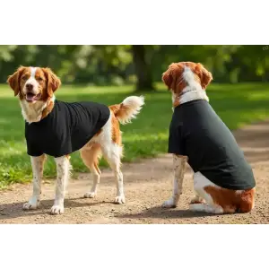 Two dogs wearing black raglan T-shirts stand on a path surrounded by greenery. The dogs are facing different directions.