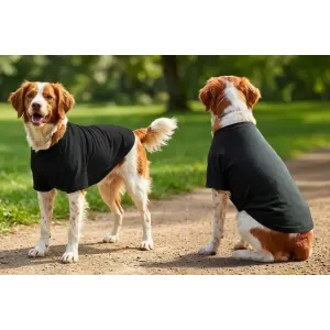 A black raglan T-shirt for dogs displayed on two dogs in a park setting. The design features short sleeves and a relaxed fit.