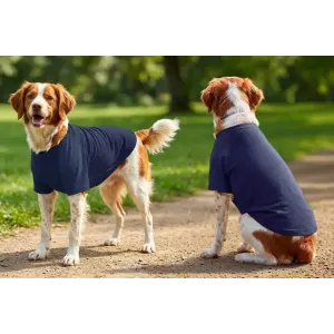 A navy blue raglan T-shirt for dogs, featuring two dogs standing in a grassy outdoor setting.