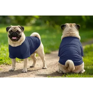 Two pugs wearing navy blue raglan t-shirts stand on a grassy path, one facing forward and the other facing away.