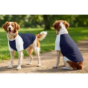 Two dogs wearing navy and white raglan t-shirts in a sunny outdoor setting. One dog is facing forward, the other is turned away.